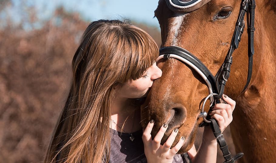 Een eigen paard