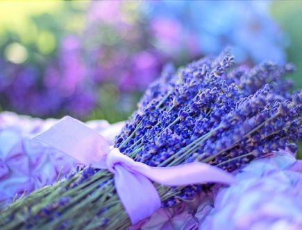 Geurstokjes in huis: Natuurlijke aromatherapie en een gastvrije atmosfeer