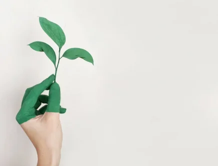 plantje