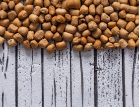houtpallets